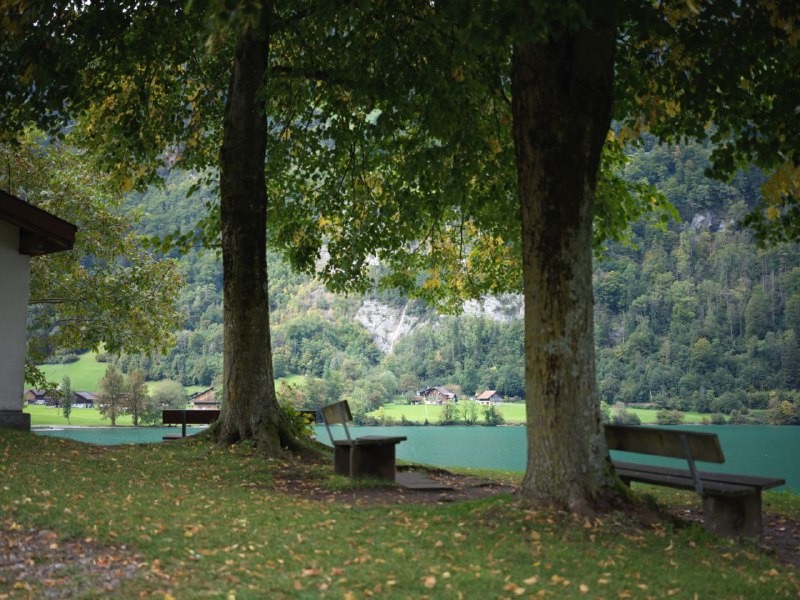 #瑞士 #旅游 #摄影#瑞士 #旅游 #摄影