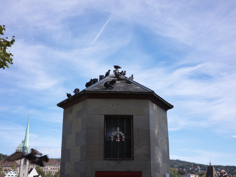 #瑞士 #旅游 #摄影#瑞士 #旅游 #摄影