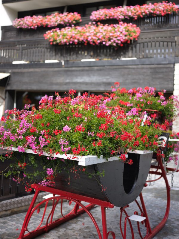 #瑞士 #旅游 #摄影#瑞士 #旅游 #摄影