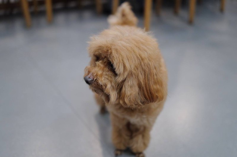 年度一次的吃蟹活动年度一次的吃蟹活动